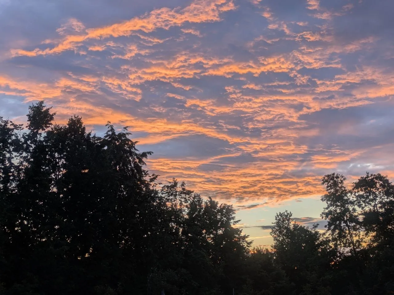 От сообщества: приятного вечера, друзья, и спасибо нашему подписчику за фото☀️☀️

#честныйногинск #н