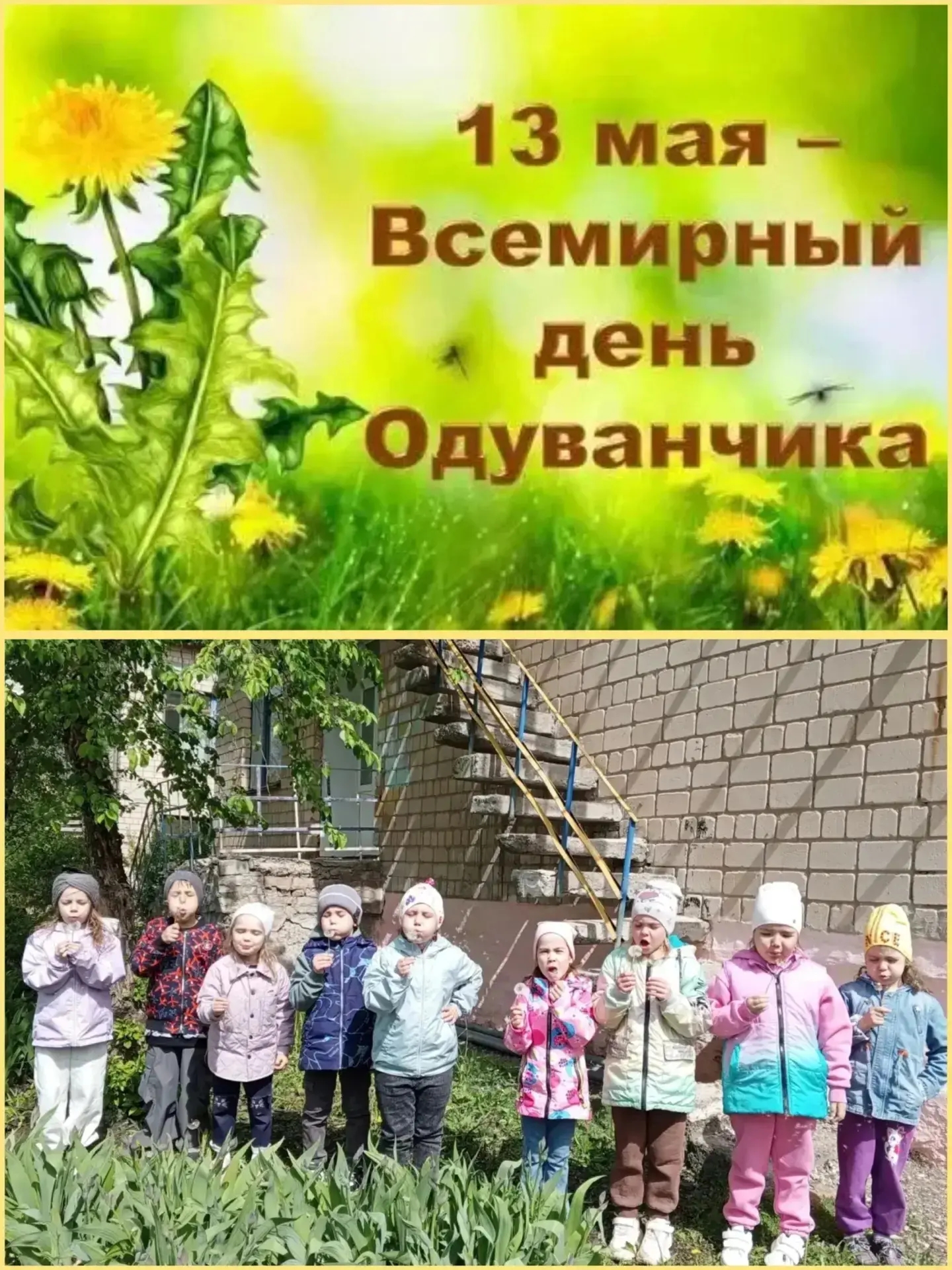 13 мая, в Международный день одуванчика, в нашей старшей группе "Пчёлки " прошёл яркий ...