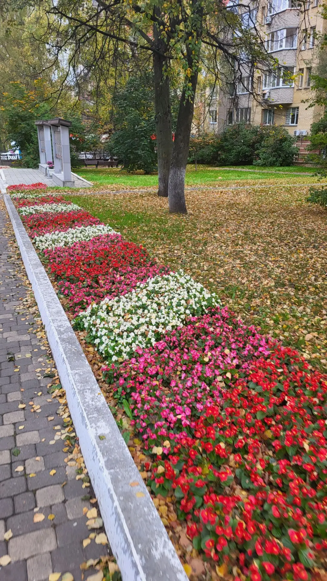 Сегодня прям холодно, не удивлюсь если завтра будет снег❄️