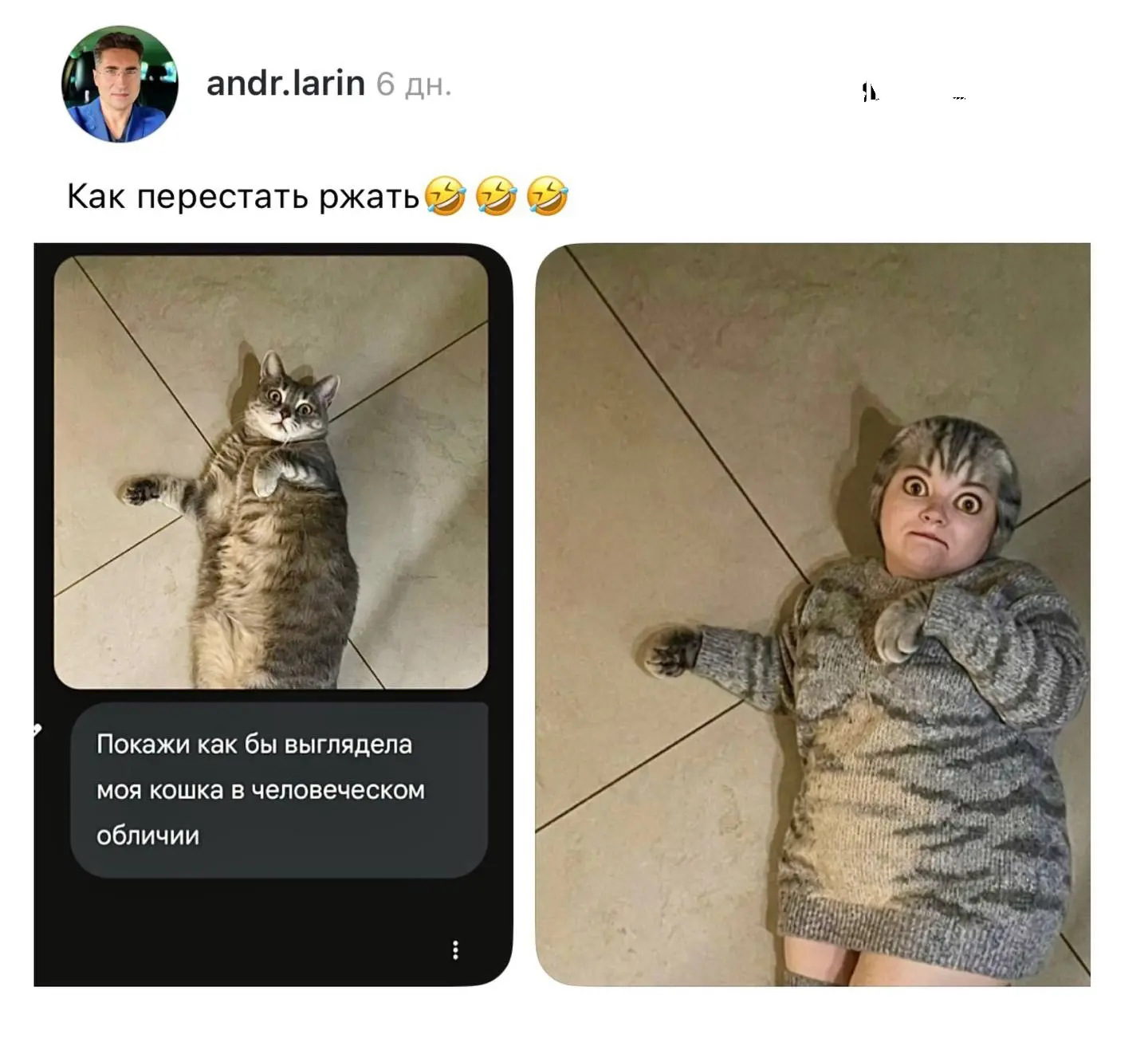 Нейросети массово начали «очеловечивать» домашних питомцев.