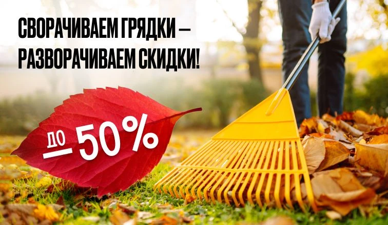 🍁 Закрываем дачный сезон без лишней суеты!