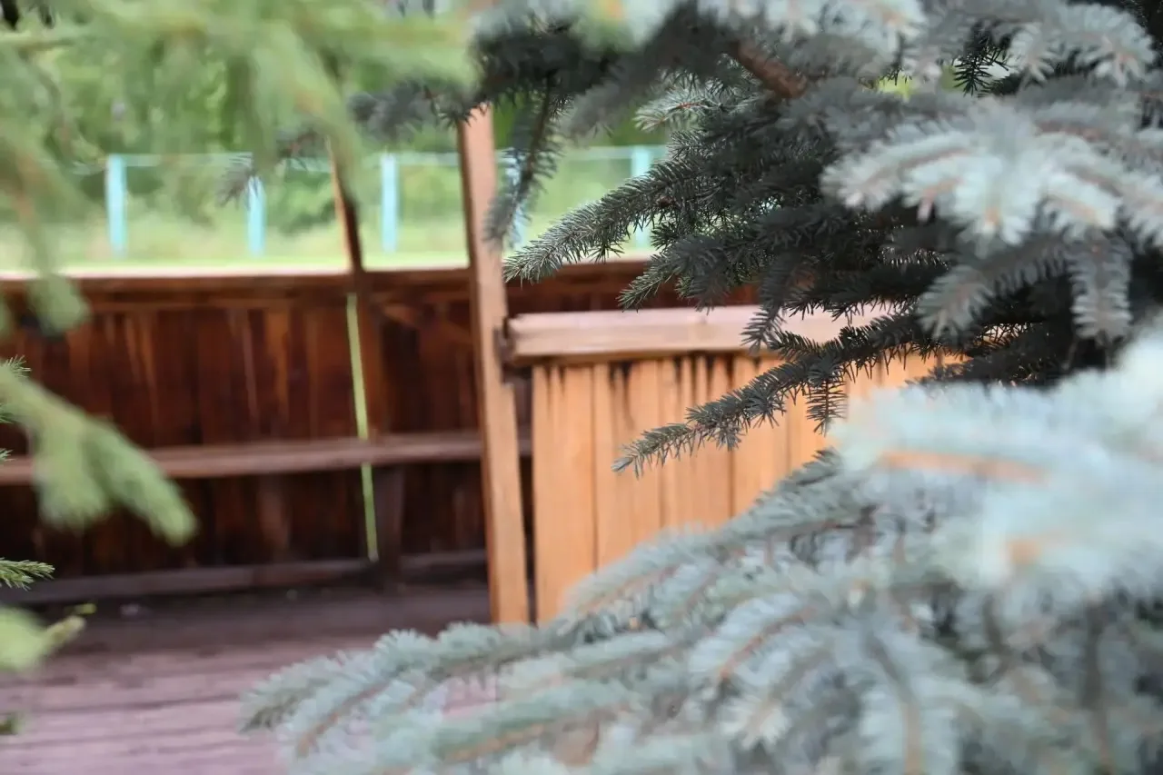 🌳 Беседки‑легенды «Лесной поляны»: скоро у истории будет новая глава! 🌳