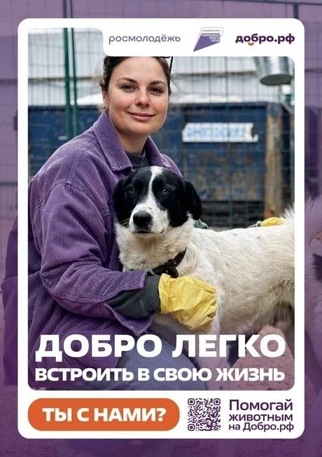 Добро.рф — это место, где люди, организации и инициативы