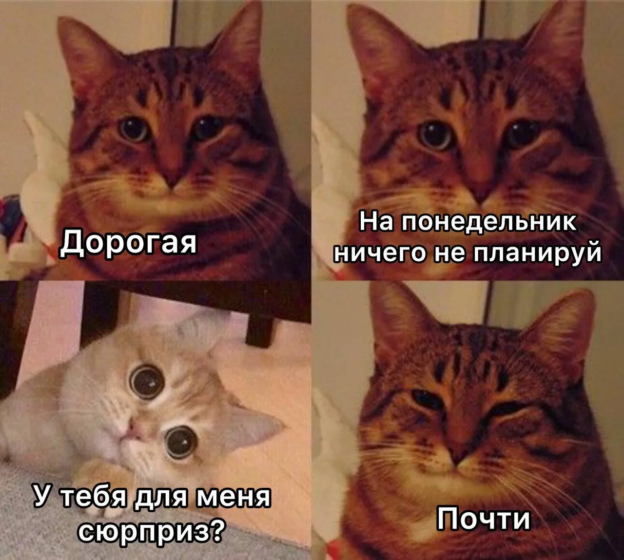 Конец света наступит уже на следующей неделе — 12–13 октября. Такое предсказание сделал...