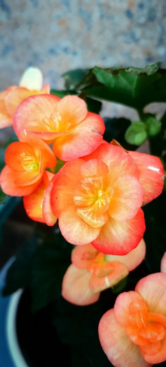 Доброе утро! Мы в ожидании длинных выходных. 🌺  Как у вас дела? Как погода?