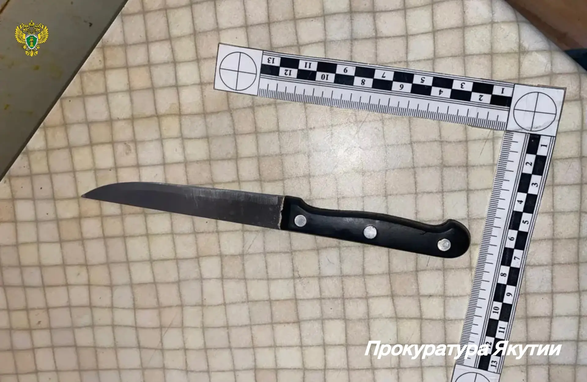 ❗️ В г. Якутске прокуратура направила в суд уголовное дело о разбое, причинении вреда з...