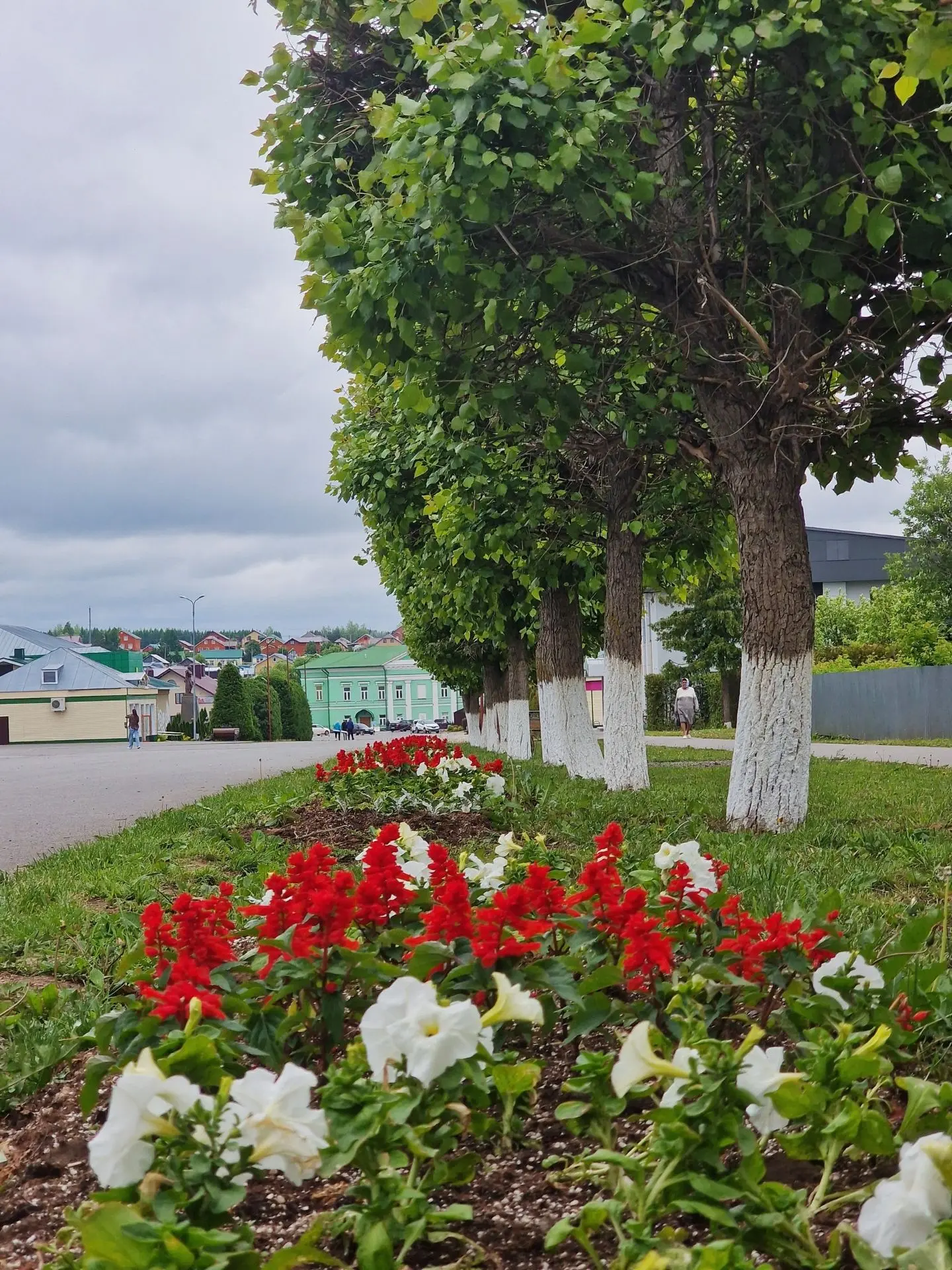 Матур, гүзәл, чиста Сабабыз!❤️🌿

🌿🌼 Уртак йортыбызны матур һәм чиста итәр өчен күп көч куела. Яше