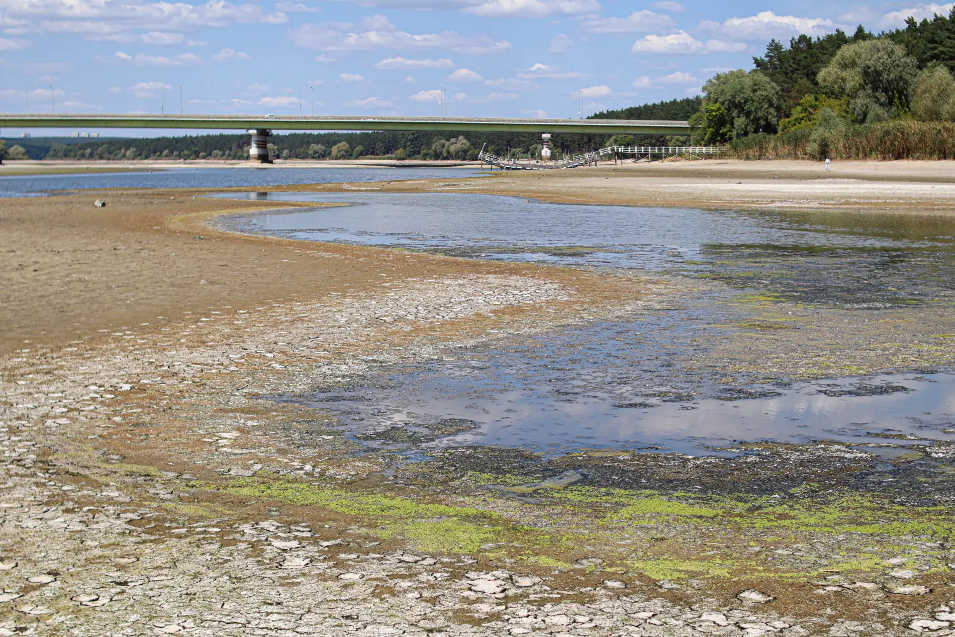 Трагедия Белгородского водохранилища