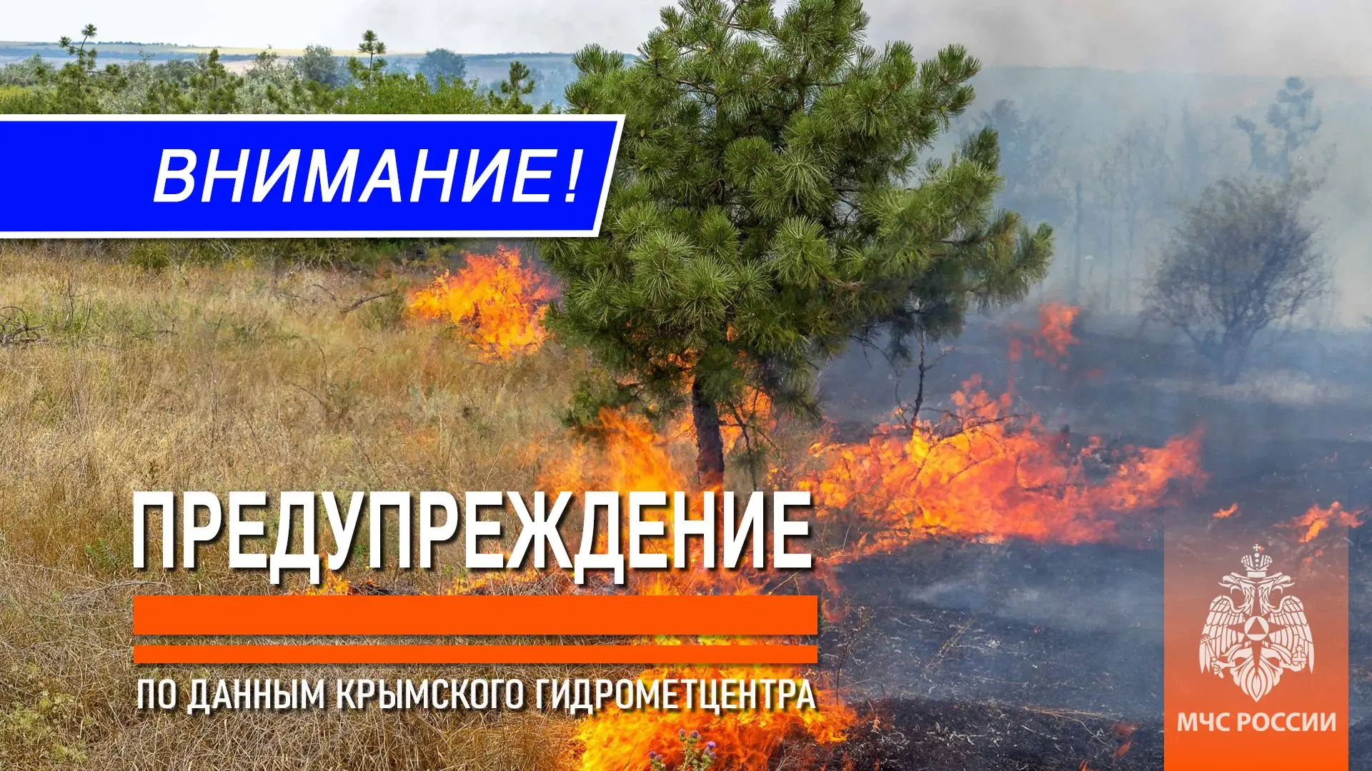 Экстренное предупреждение
