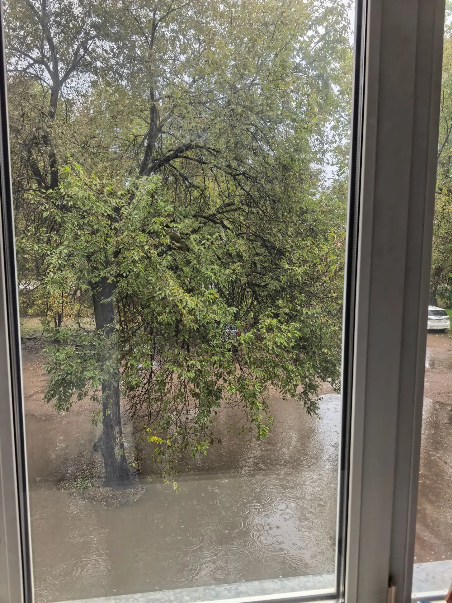 🌧 Сегодня за окном дождь, и ветер будто нарочно напоминает, как хочется просто укутать...