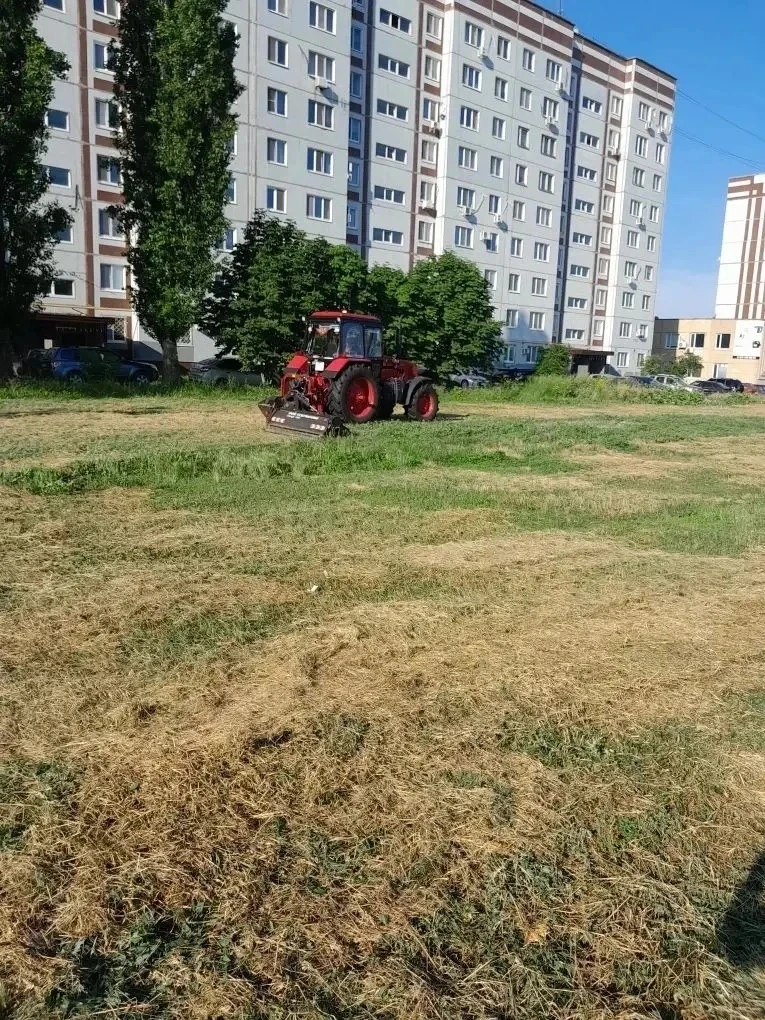 Покос травы, полив дорог, уборка мусора. Сотрудники «Комбината благоустройства» ежедневно наводят по