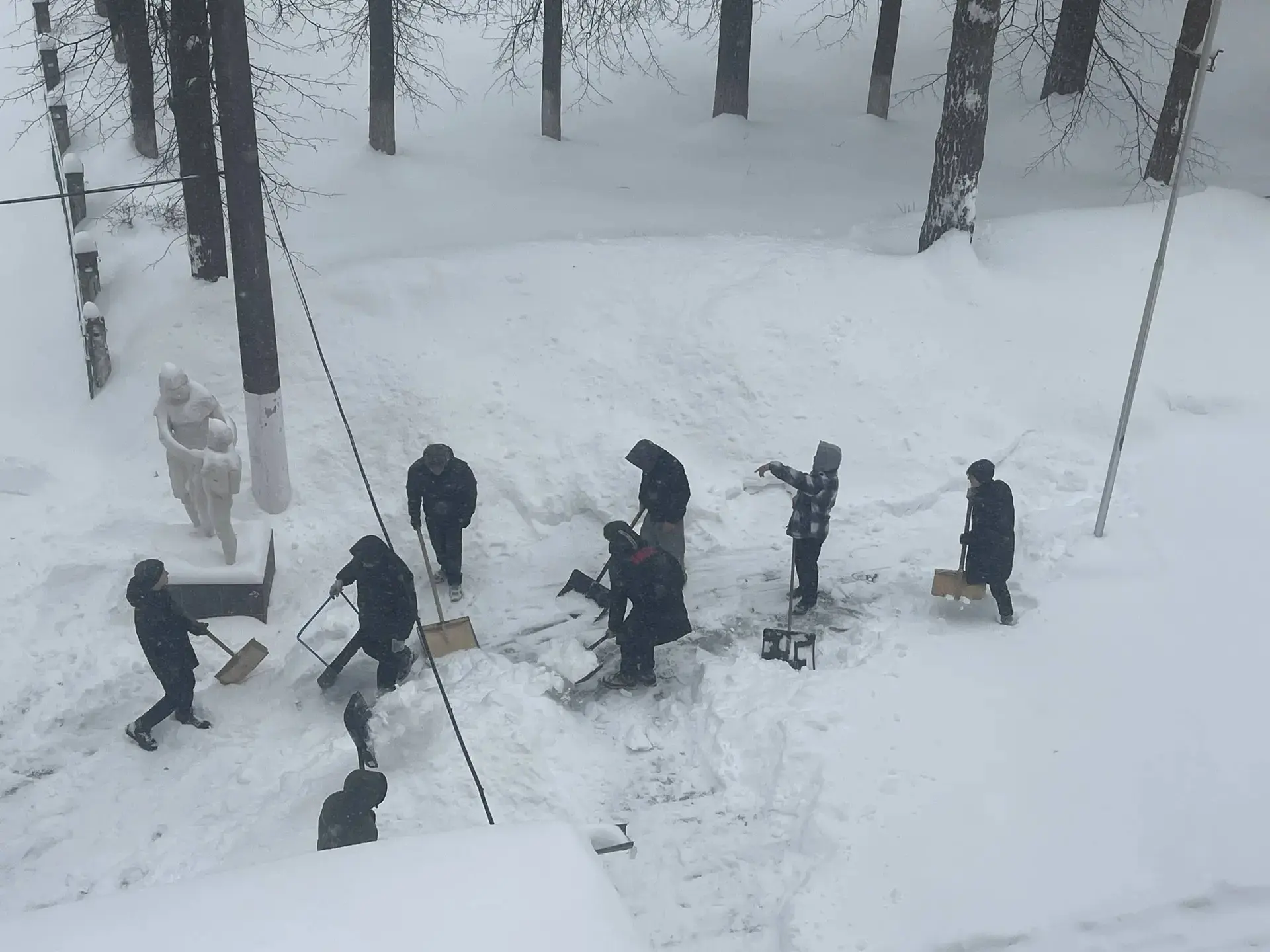 🌨️🚫 Вся неделя — на посту "Снежного патруля"!