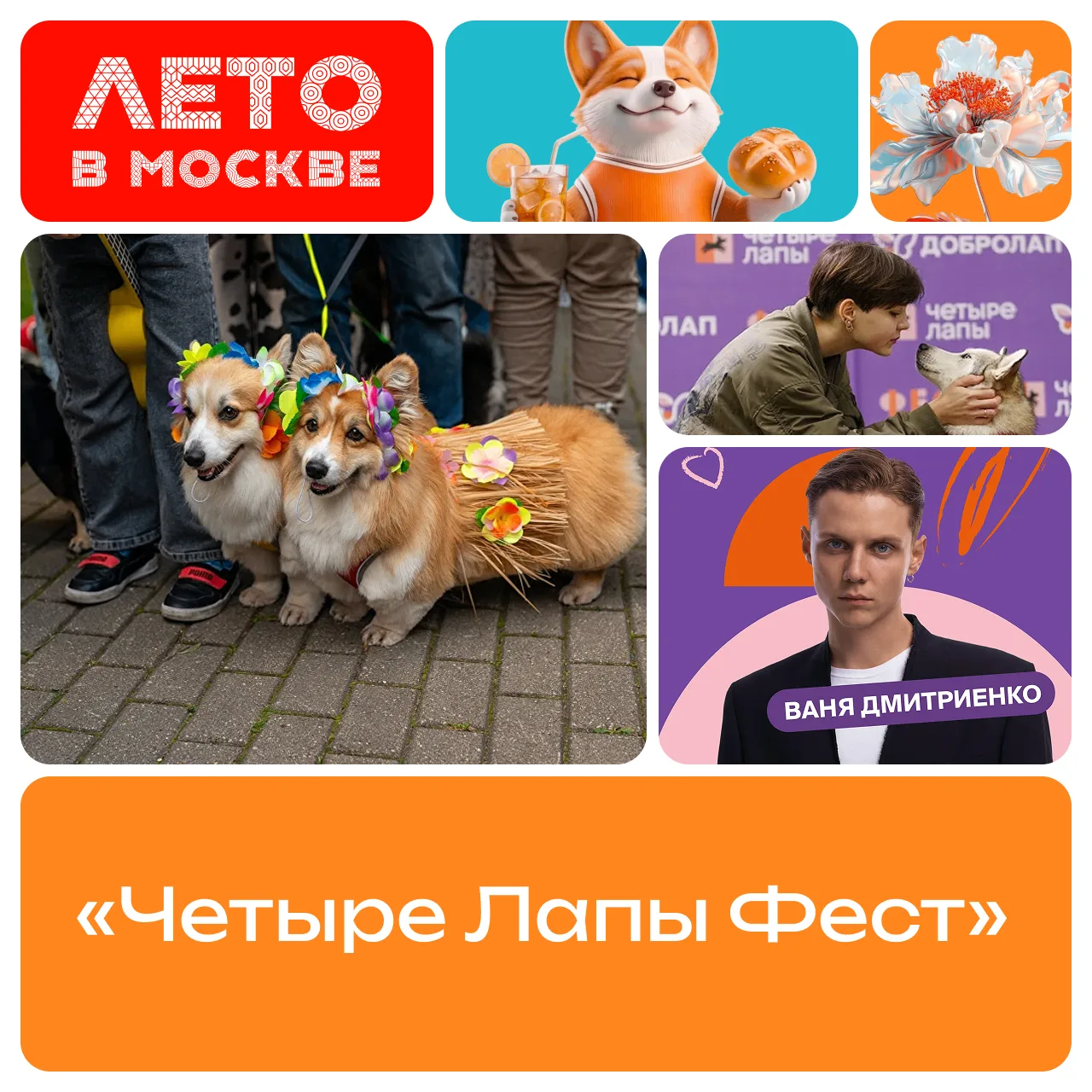 🐶😻 Большо-о-о-ой праздник для всех любителей животных стартовал в Измайловском парке....
