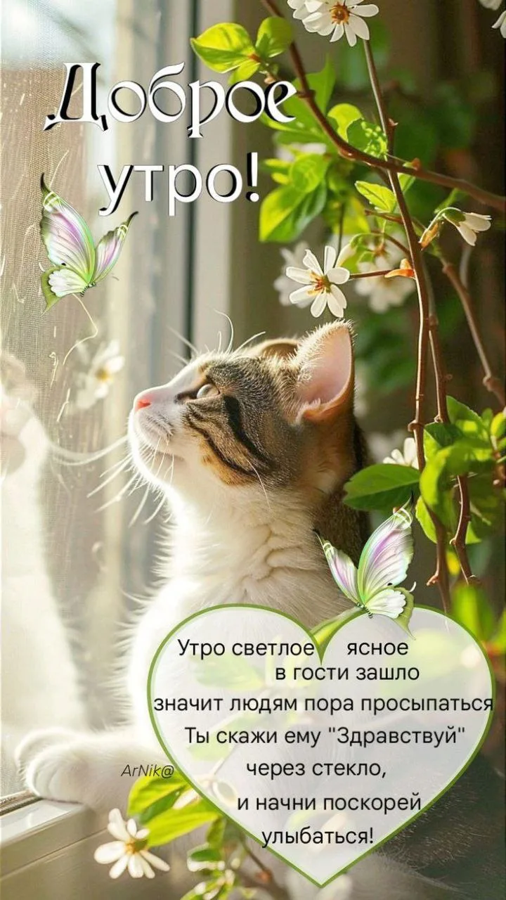 Доброе утро!

👋💖⭐️🎀🎉✨

Оставляйте реакции, если понравилась открытка и делитесь с друзьями 👍

⭐