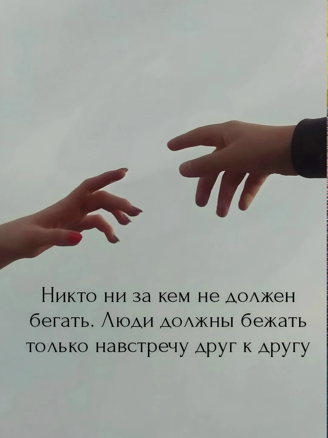Цитаты жизни