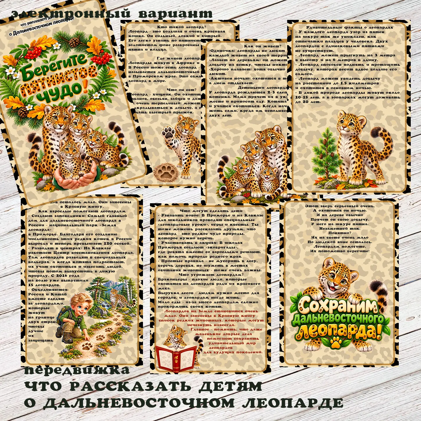 передвижка ДАЛЬНЕВОСТОЧНЫЙ ЛЕОПАРД