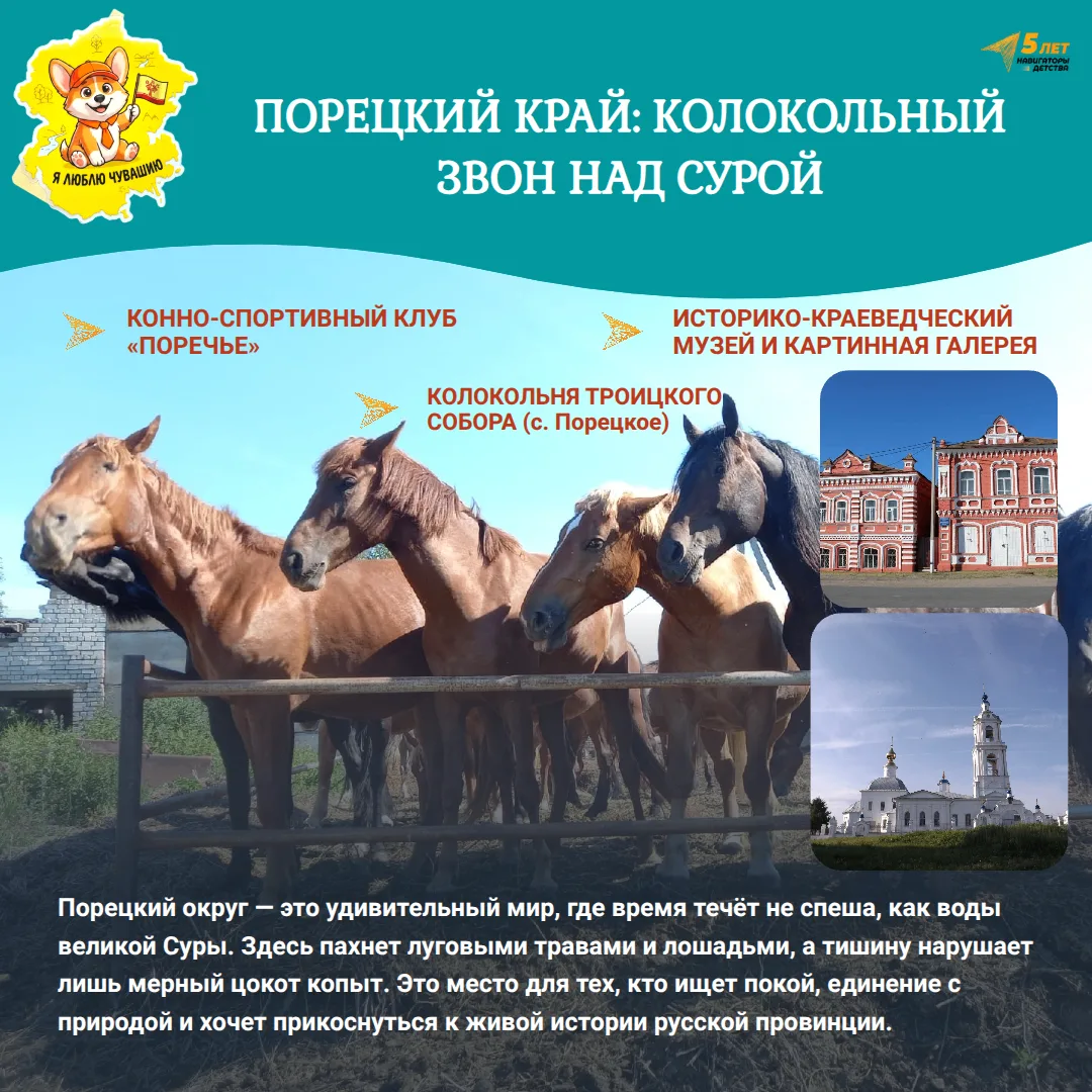 ПОРЕЦКИЙ КРАЙ: КОЛОКОЛЬНЫЙ ЗВОН НАД СУРОЙ 🔔