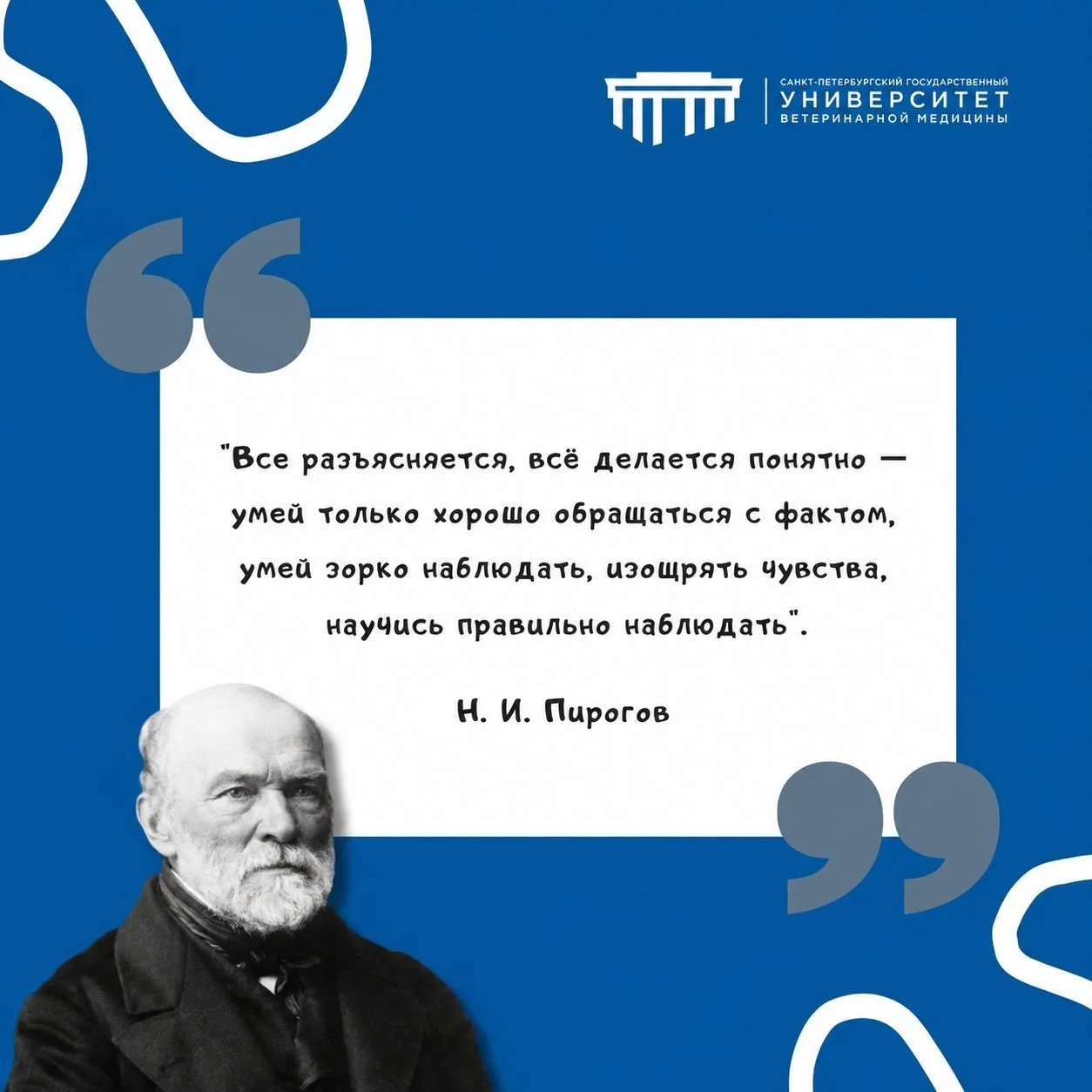 #фразадня #СПбГУВМ