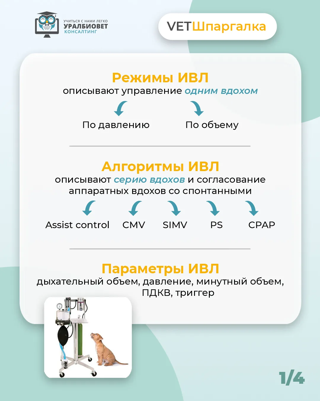 Важное про искусственную вентиляцию легких: алгоритмы, выбор режима, параметры вентиляции здоровых л