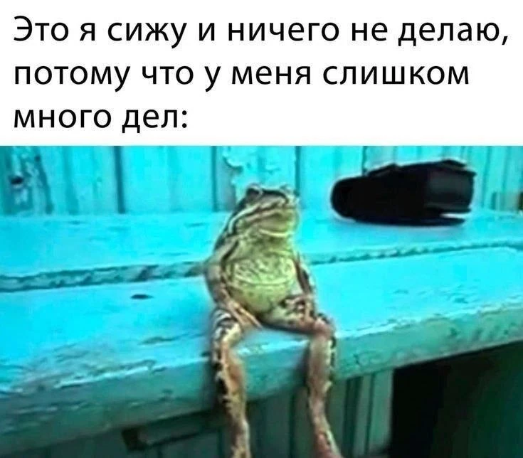 Мем-прогноз на 7 октября: Чего ожидать от сегодняшнего дня? Смотри на фото