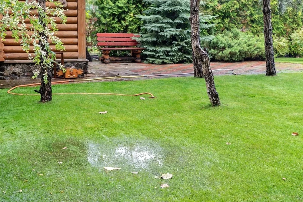 🌧 Что делать, если осенью на участке постоянно стоит вода