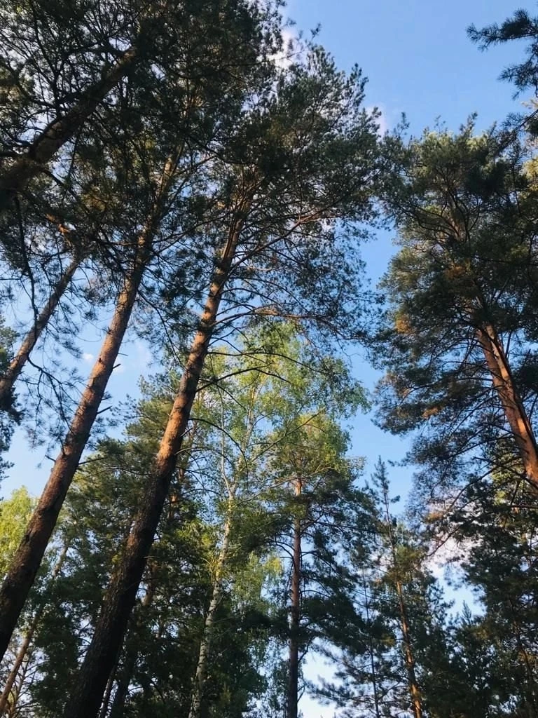 Присылайте Ваши фото в "Предложить пост"