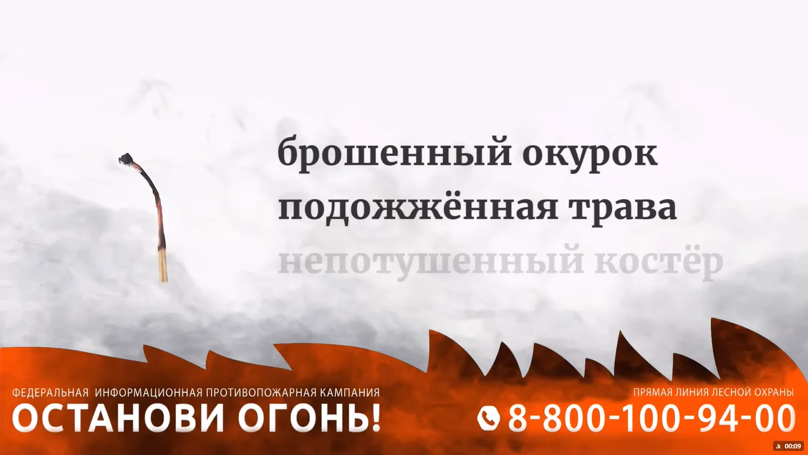 Берегите лес от пожаров!

-) не разжигайте костры в лесах;
-) не бросайте не потушенные спички и оку