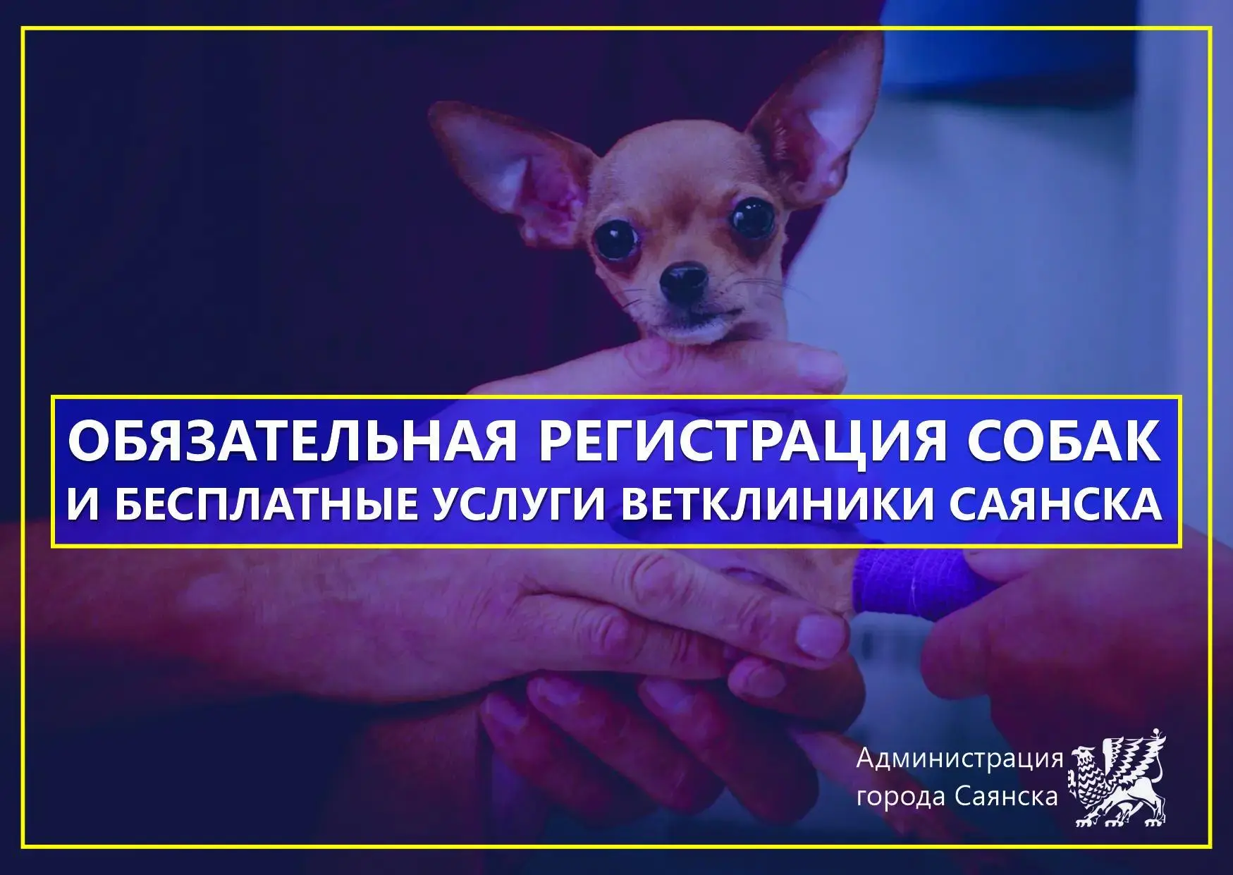 ⬜ С начала 2026 года специалисты ветеринарной клиники Саянска:

◽вакцинировали 1204 собаки и кошки о