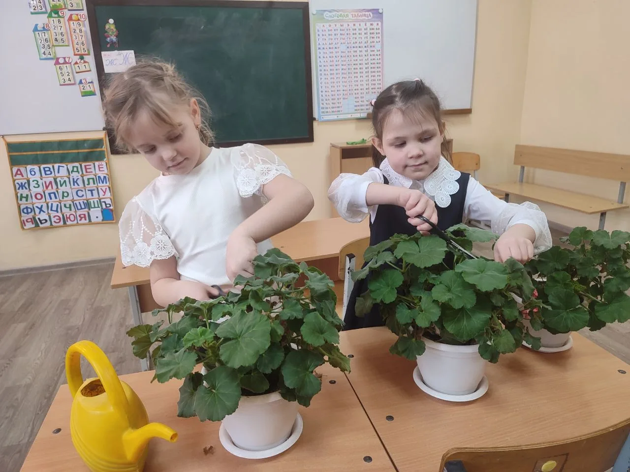 Завершился самый добрый трек у ребят 1 класса «Орлёнок-Доброволец».