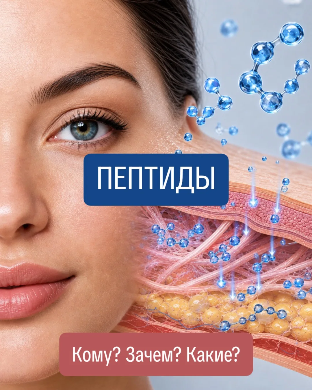 Пептиды: полный разбор