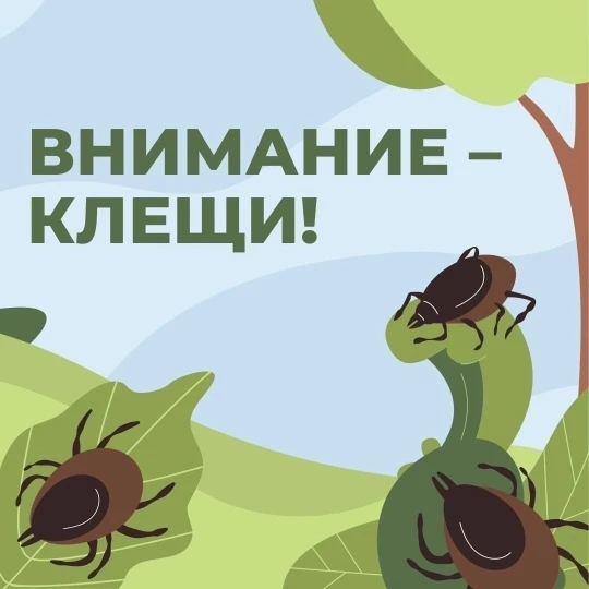 С приходом тепла увеличивается риск укусов клещей.🕷
