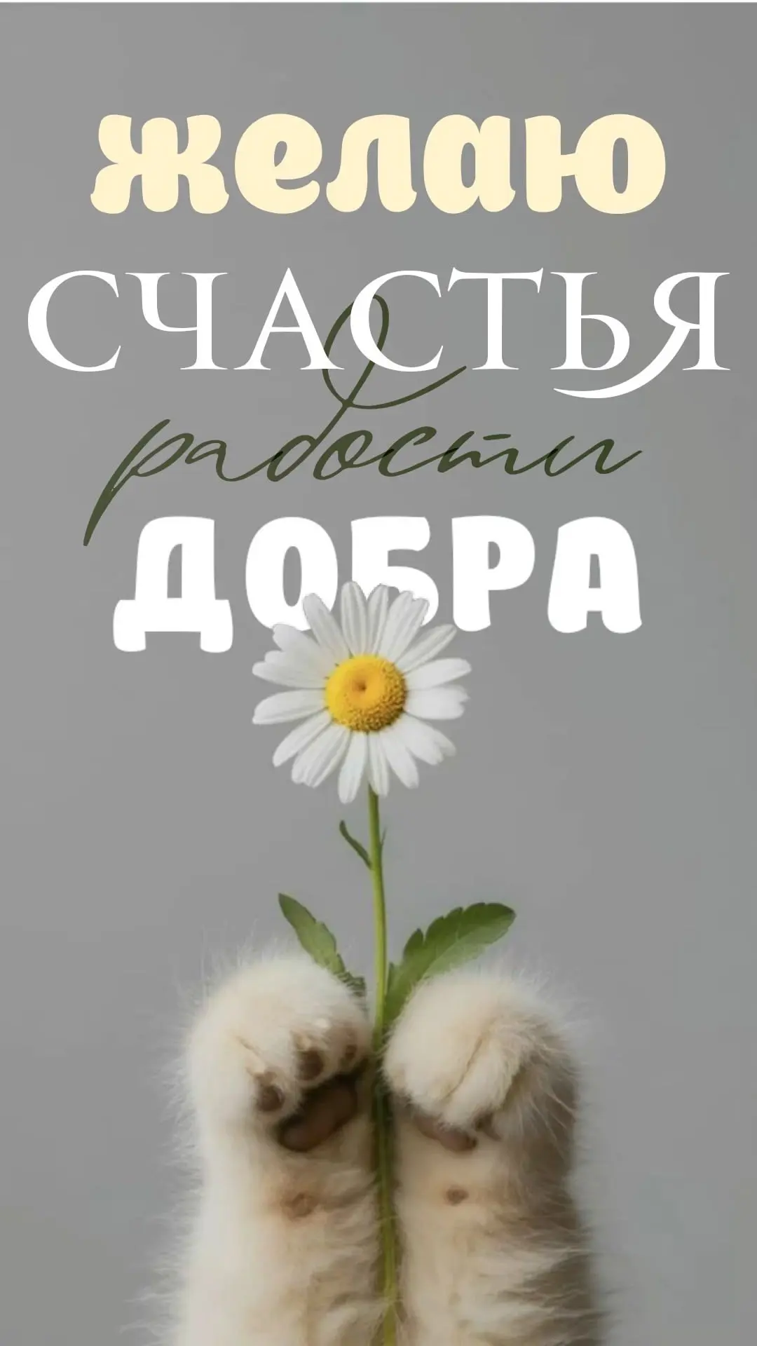 #Пожелания 🌼