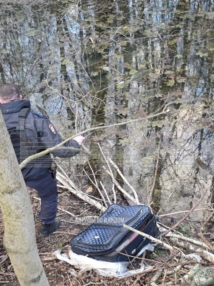 😱 Женщина прогуливалась по Лианозовскому лесопитомнику и обнаружила в овраге синий чем...