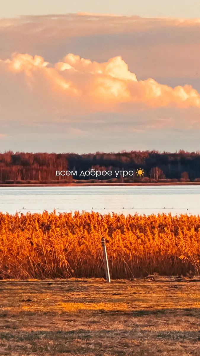 Главное — быть в балансе!