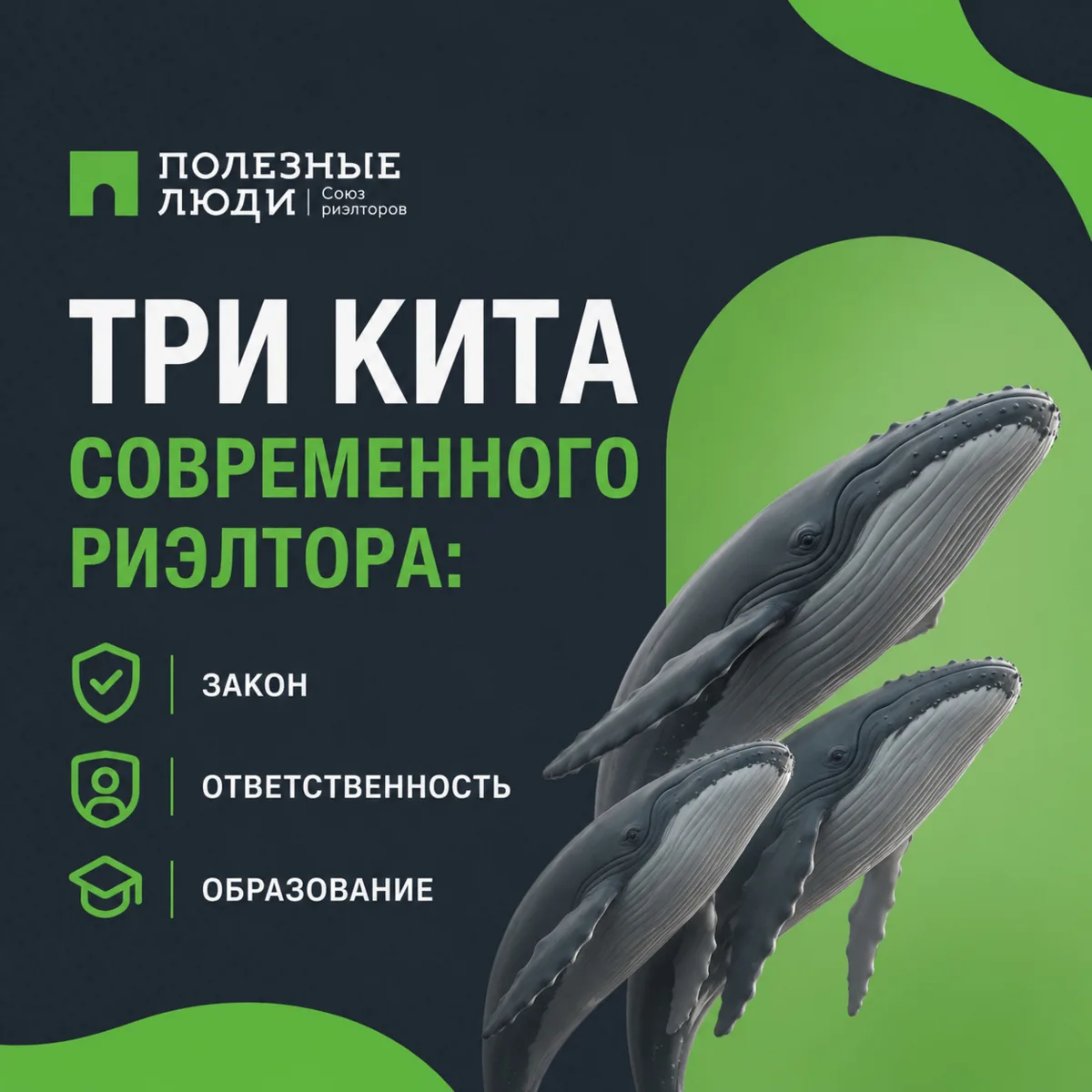 Три кита современного риэлтора: закон, ответственность, образование