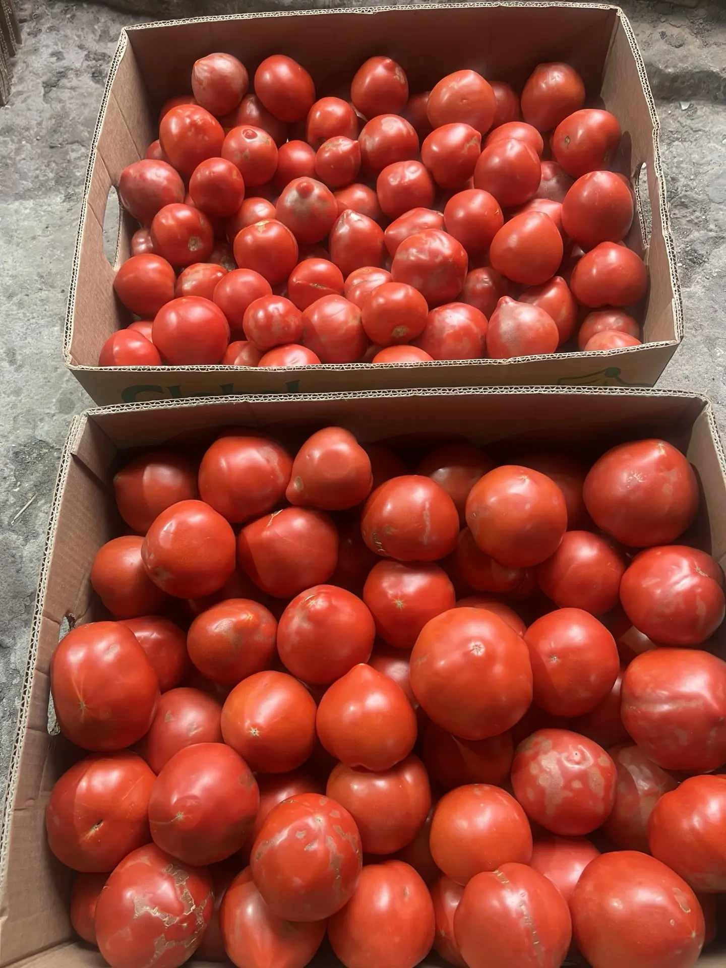 Продаю на салат и томат, очень вкусный-30₽-кг-8-919-887-30-29