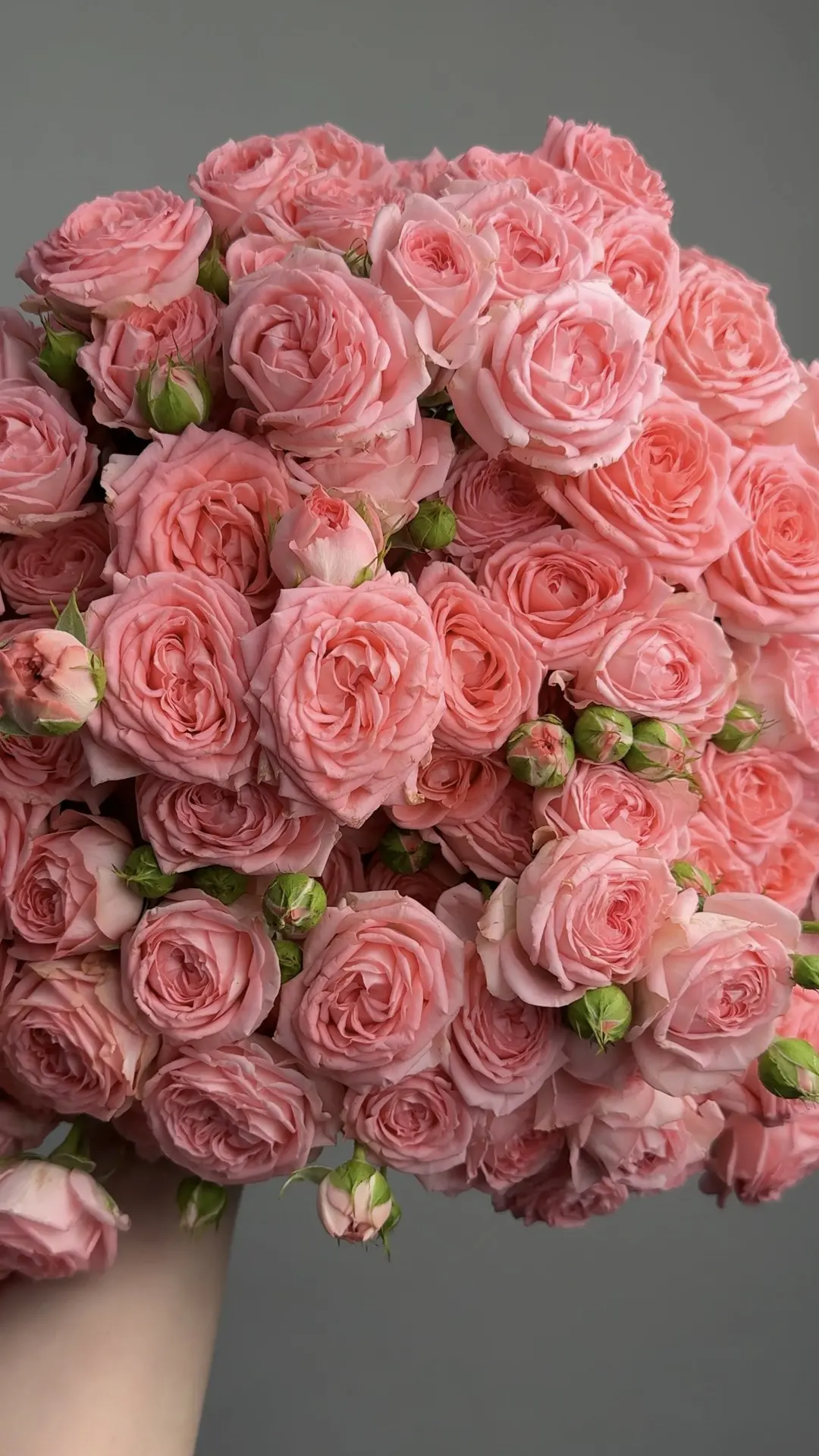 В свежей поставке 🌷