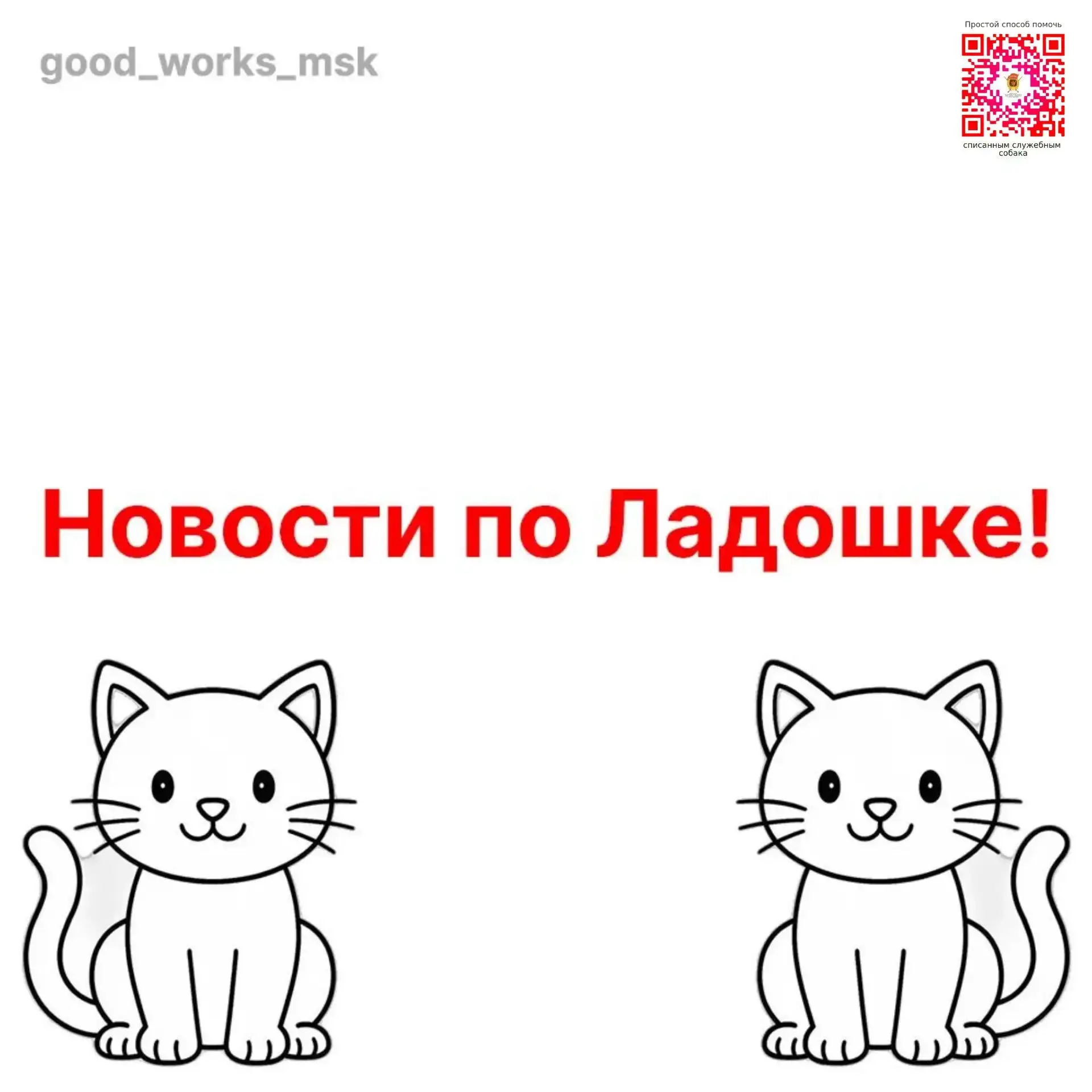Про 😺Ладошку!