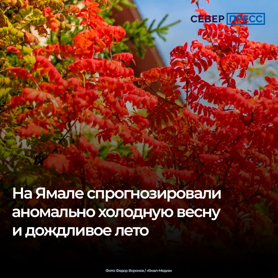 Осень и предстоящая зима на Ямале будут теплее климатической нормы, но к марту картина ...