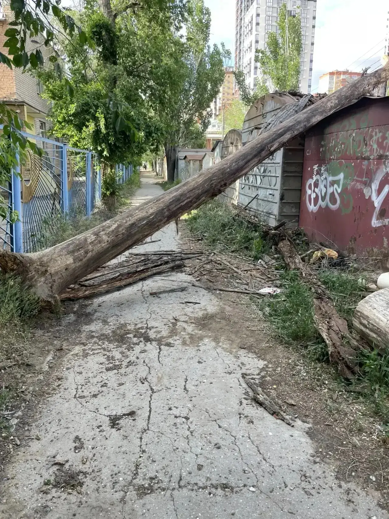 Городские спасатели устранили последствия падения дерева