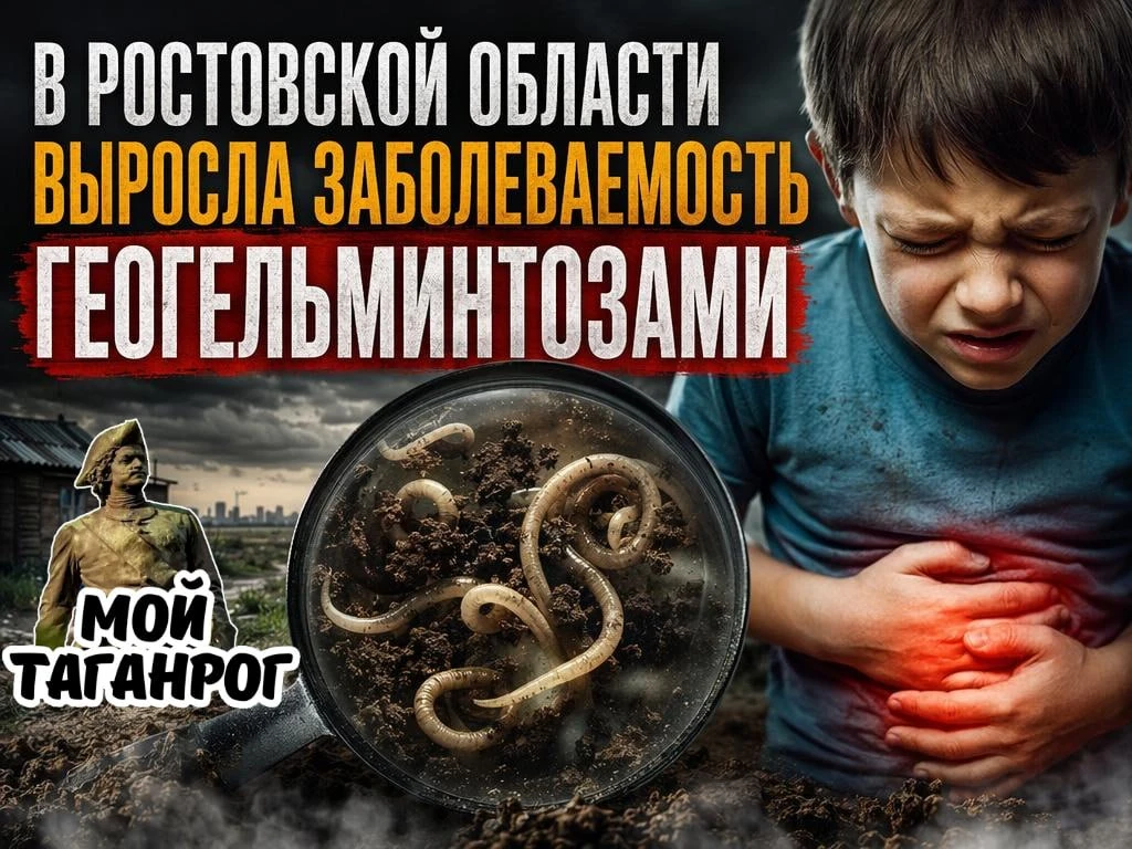 В Ростовской области выросла заболеваемость геогельминтозами

В 2025 году в регионе зафиксировали ро
