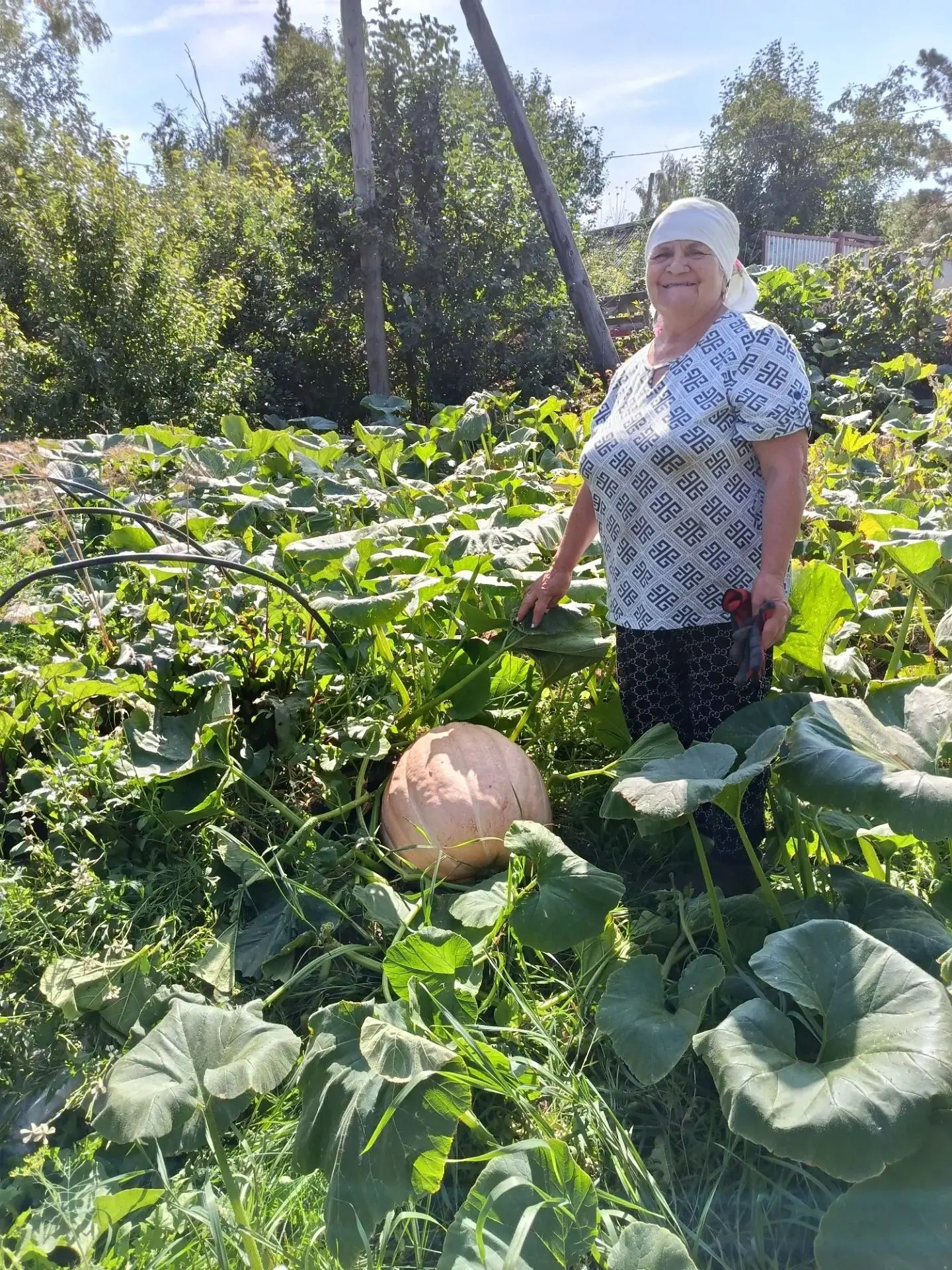У получательницы социальных услуг отделения социального обслуживания на дому граждан по...