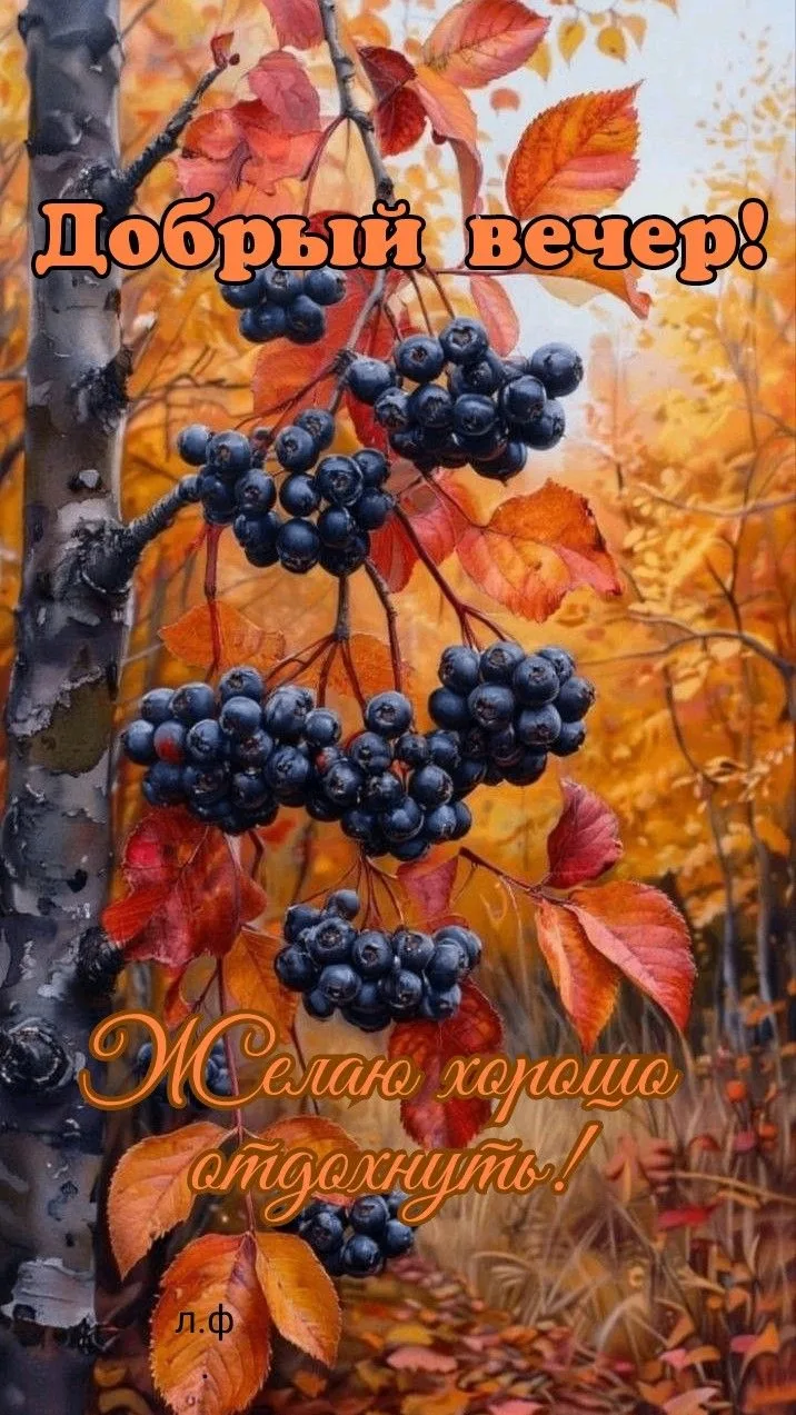 Хорошего вечера 🌸