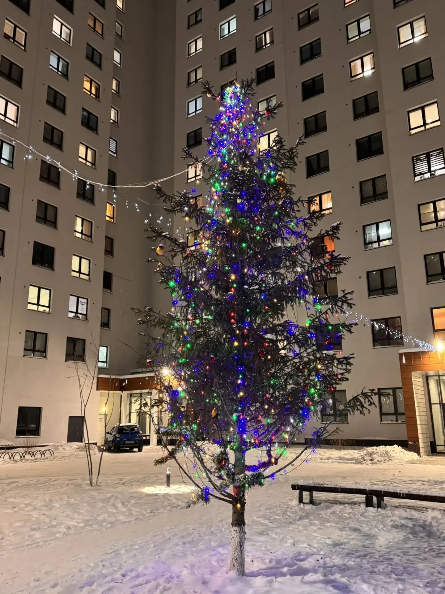 🎄 Мы запустили онлайн-голосование за самую красивую дворовую ель-2026! 🎄  В этом году на конкурс «Са
