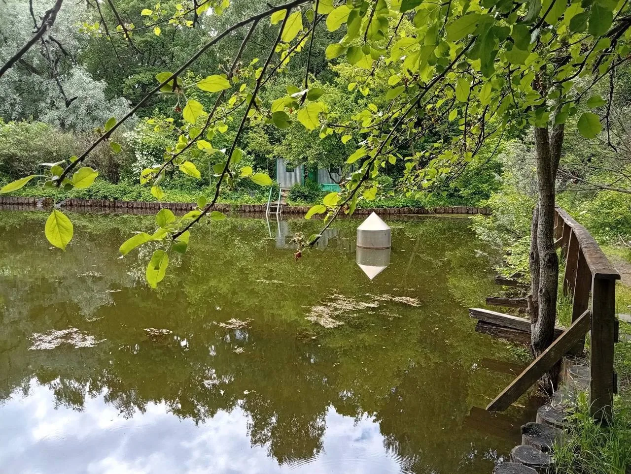 Нетронутая природа глубинок парка Сокольники 🧡🌿