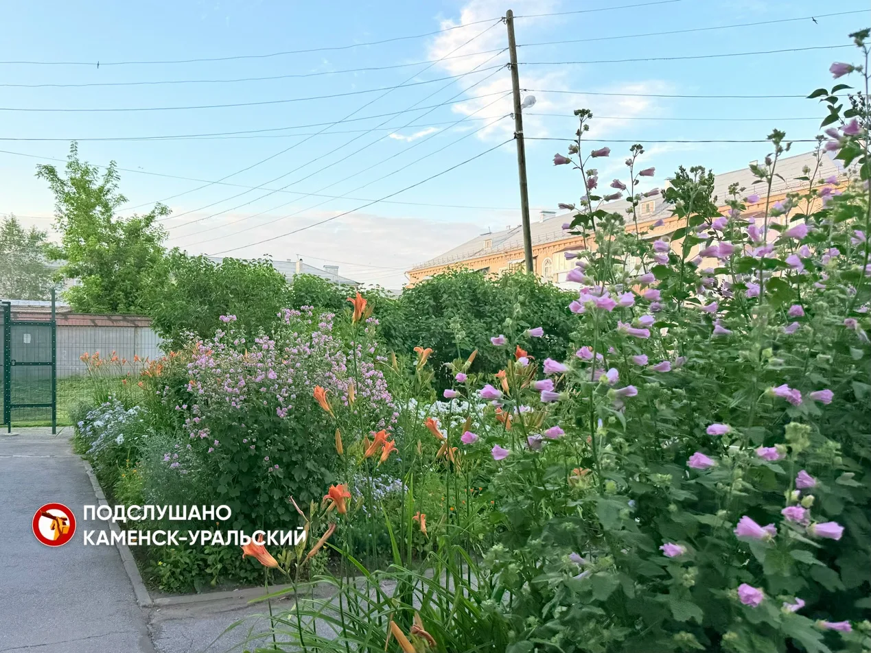 🔥 В Каменске-Уральском назвали лучшие клумбы города

В этом году состязания цветоводов-любителей и 