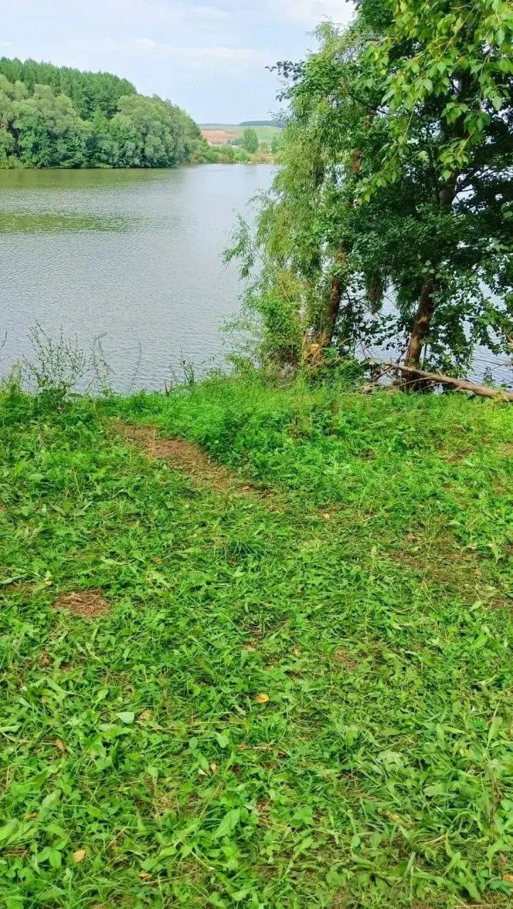 🔴 Пятилетний ребёнок утонул в пруду в Татарстане.