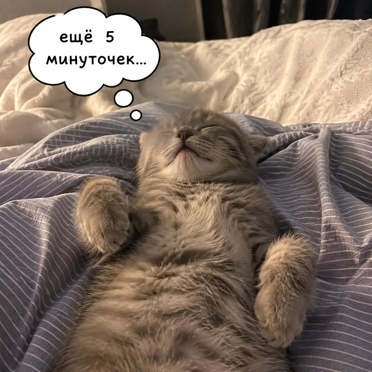 А как проходит ваша суббота?😺