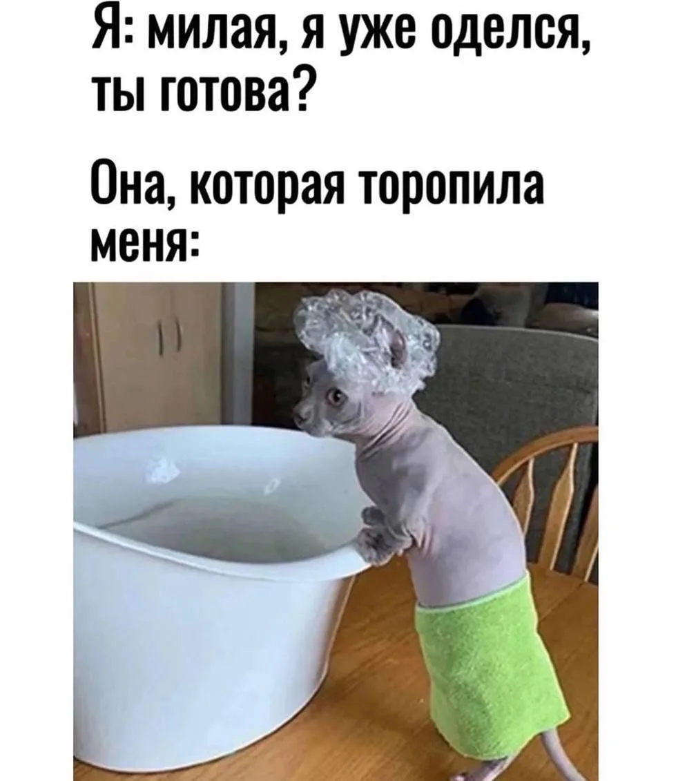 Ведьмин котелок 🧙 Подписаться
