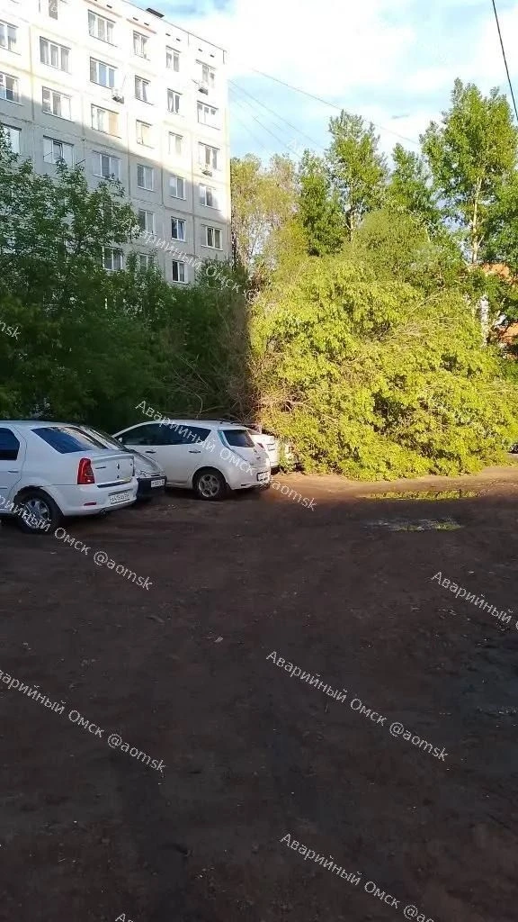 🚙 Во дворе Нефтяников дерево упало на автомобили